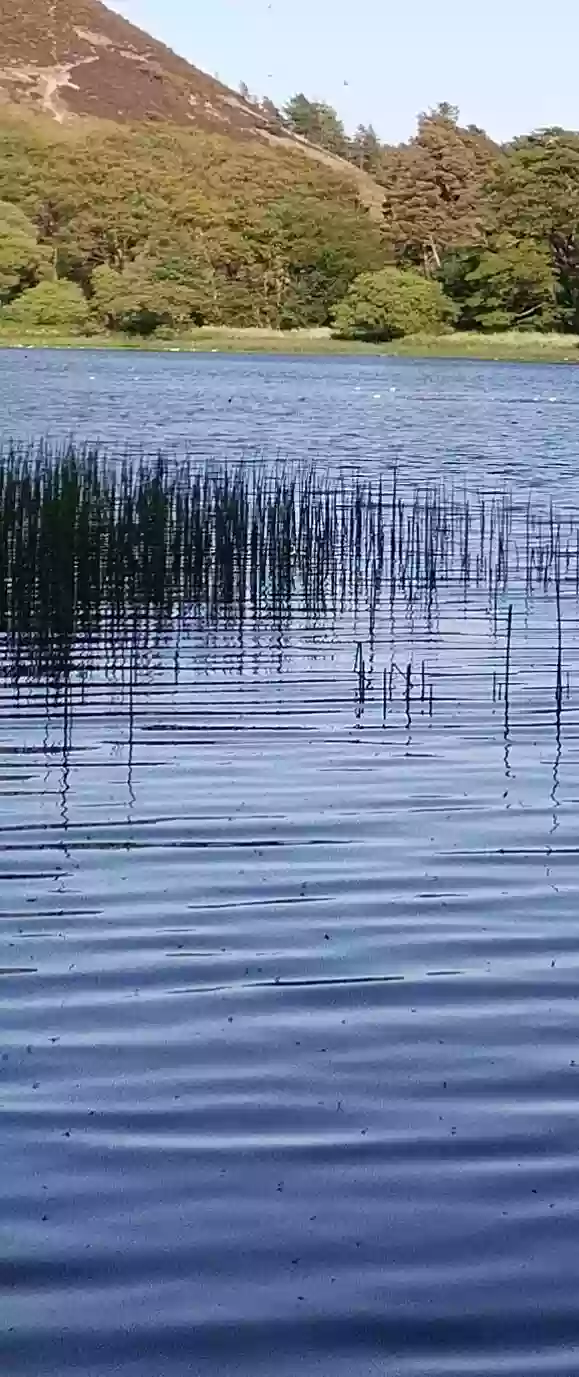 A Calm Day On Bowden Loch
